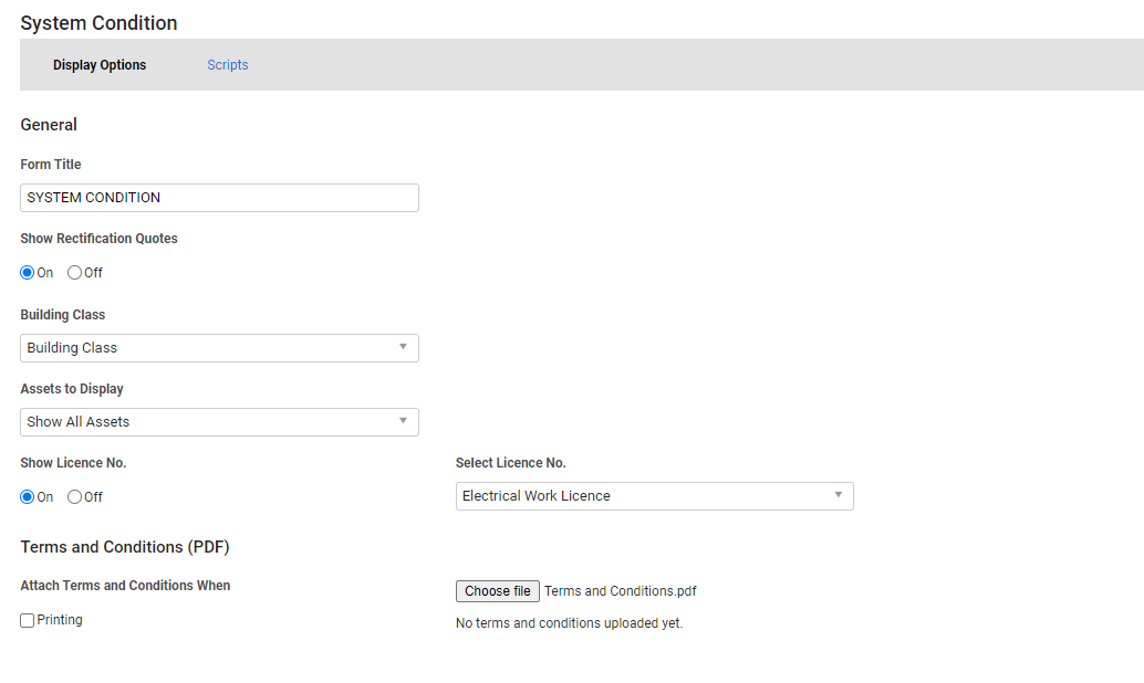 A screenshot of the Annual System Condition report.